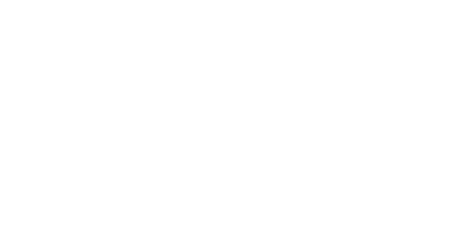 Vini Lazzeretti